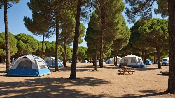 Découvrez le meilleur camping 4 étoiles à argelès sur mer